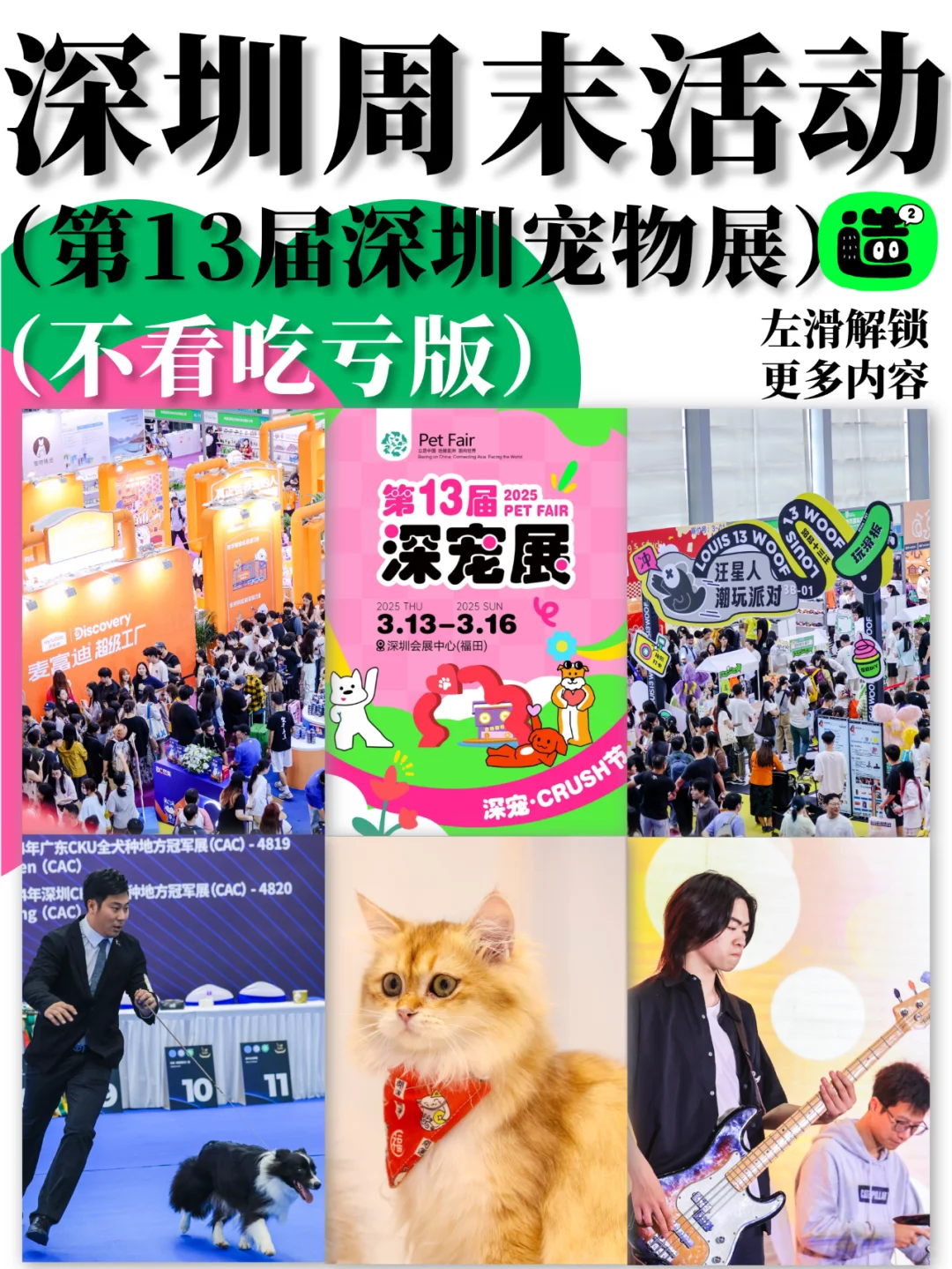 疯了疯了！13届深宠展来了！不去后悔一整年