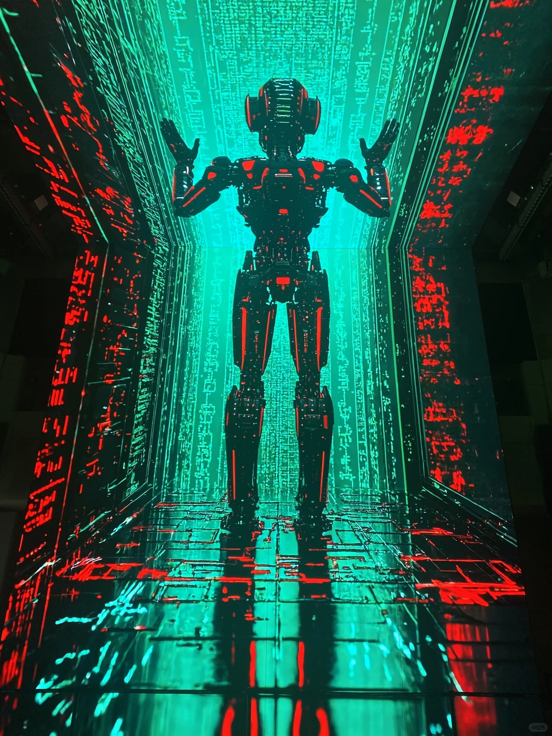 这也太震撼了！没白来