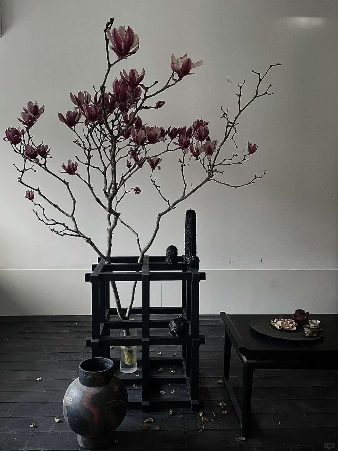 北京免费新展已经美到next level……