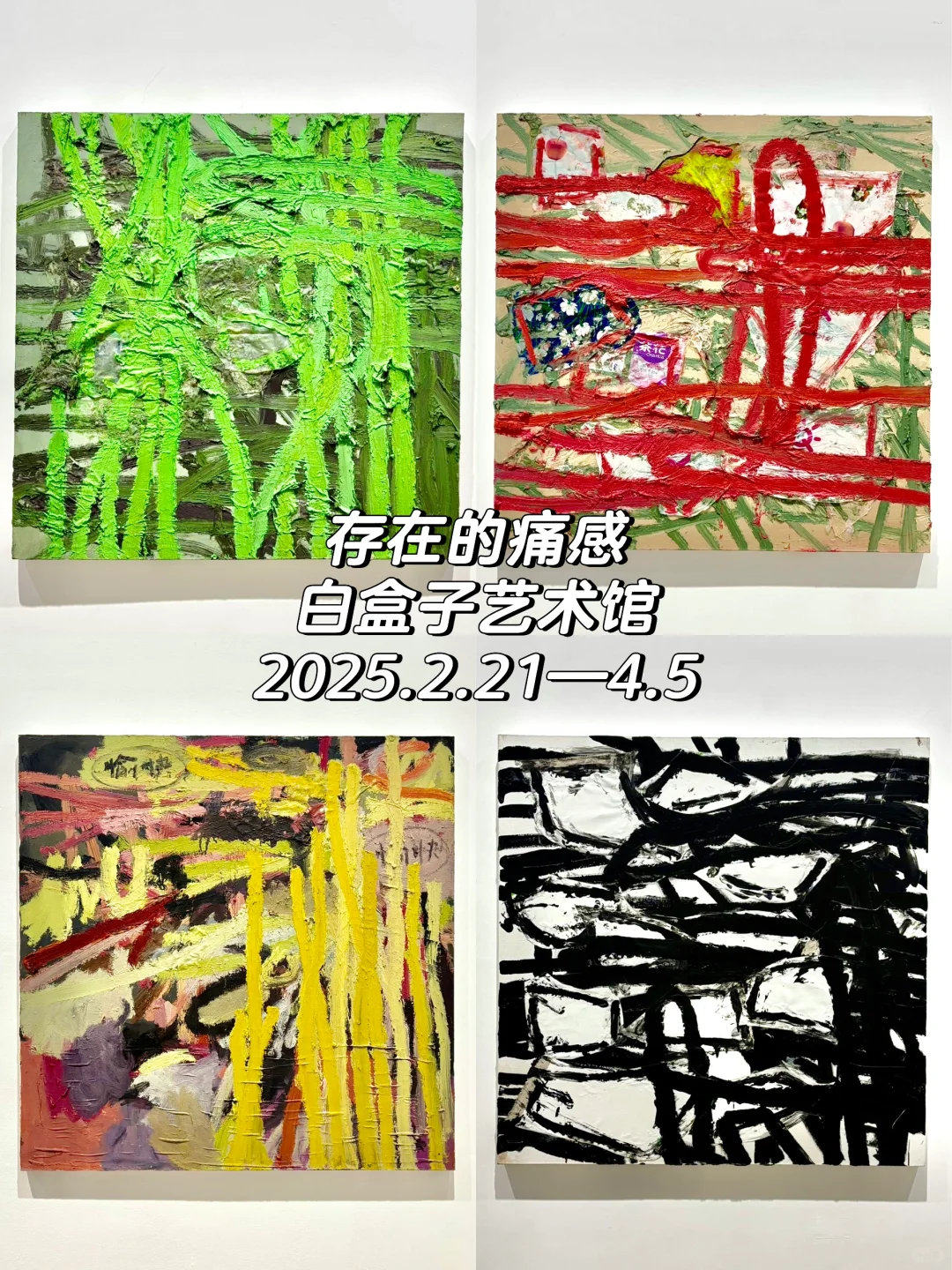 按时交作业❗️798艺术区3月免费展（合集）?️