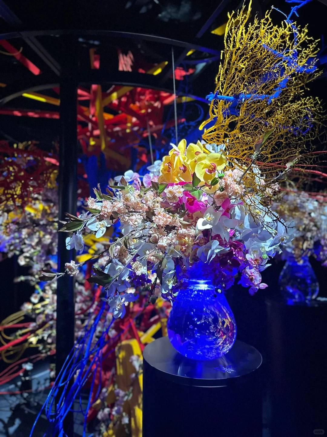 展会｜东京宠物用品展览会下个月开展