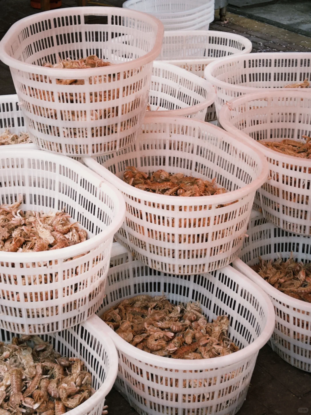 台州椒江丨准备好1TB的胃?