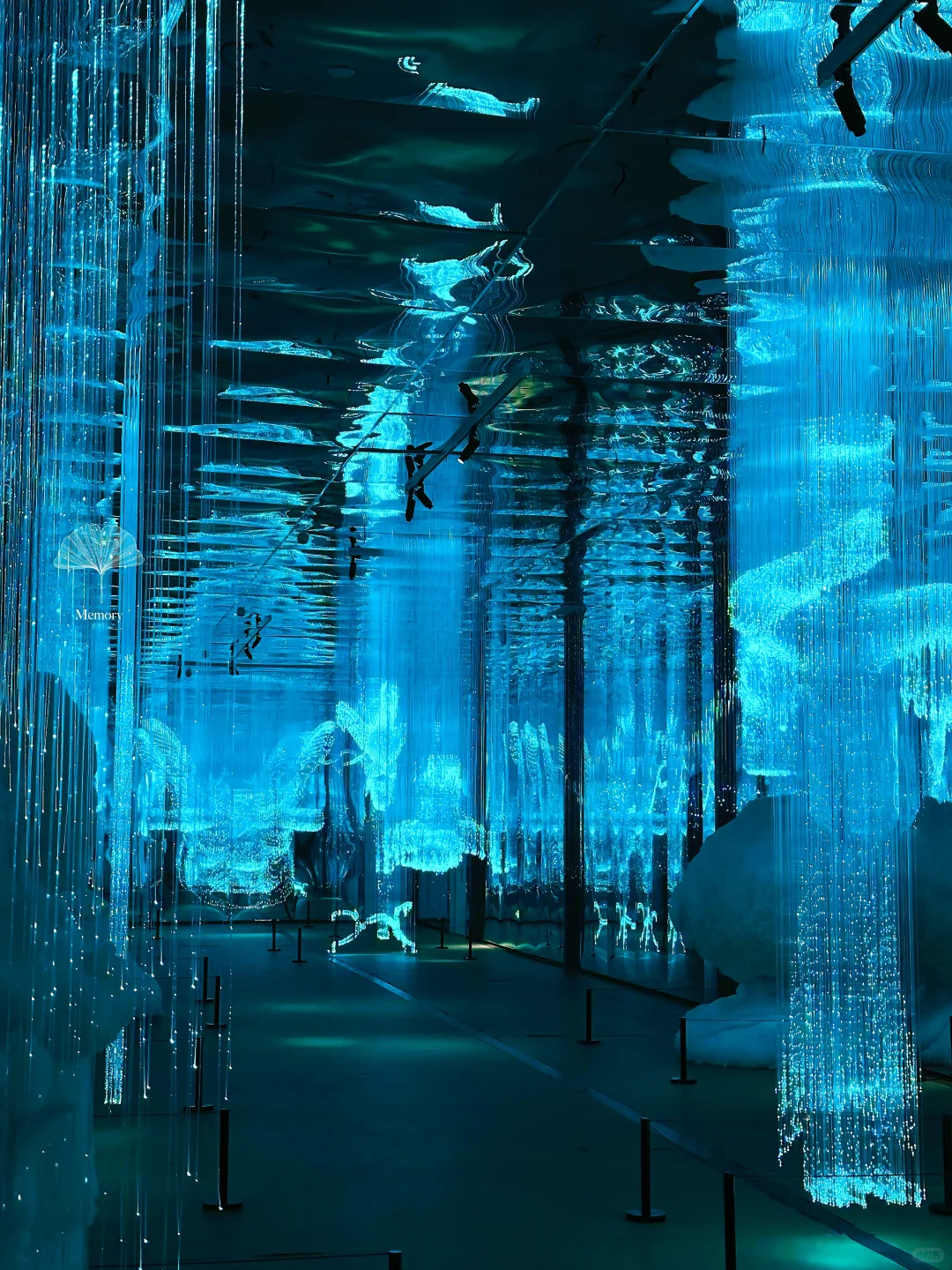 超震撼!北京开年展“文明的起源”穿越之旅