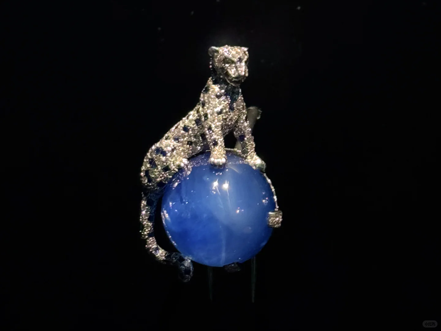 你们都不买那我也不买噜