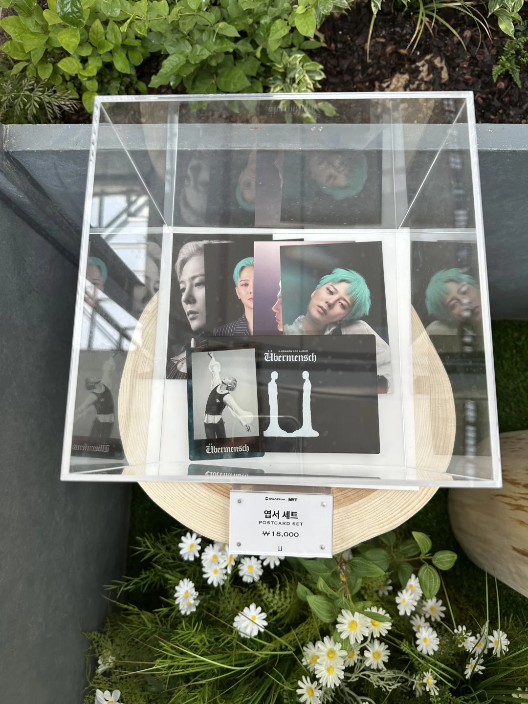 权志龙展超全图片❗️根本拍不够阿❗️