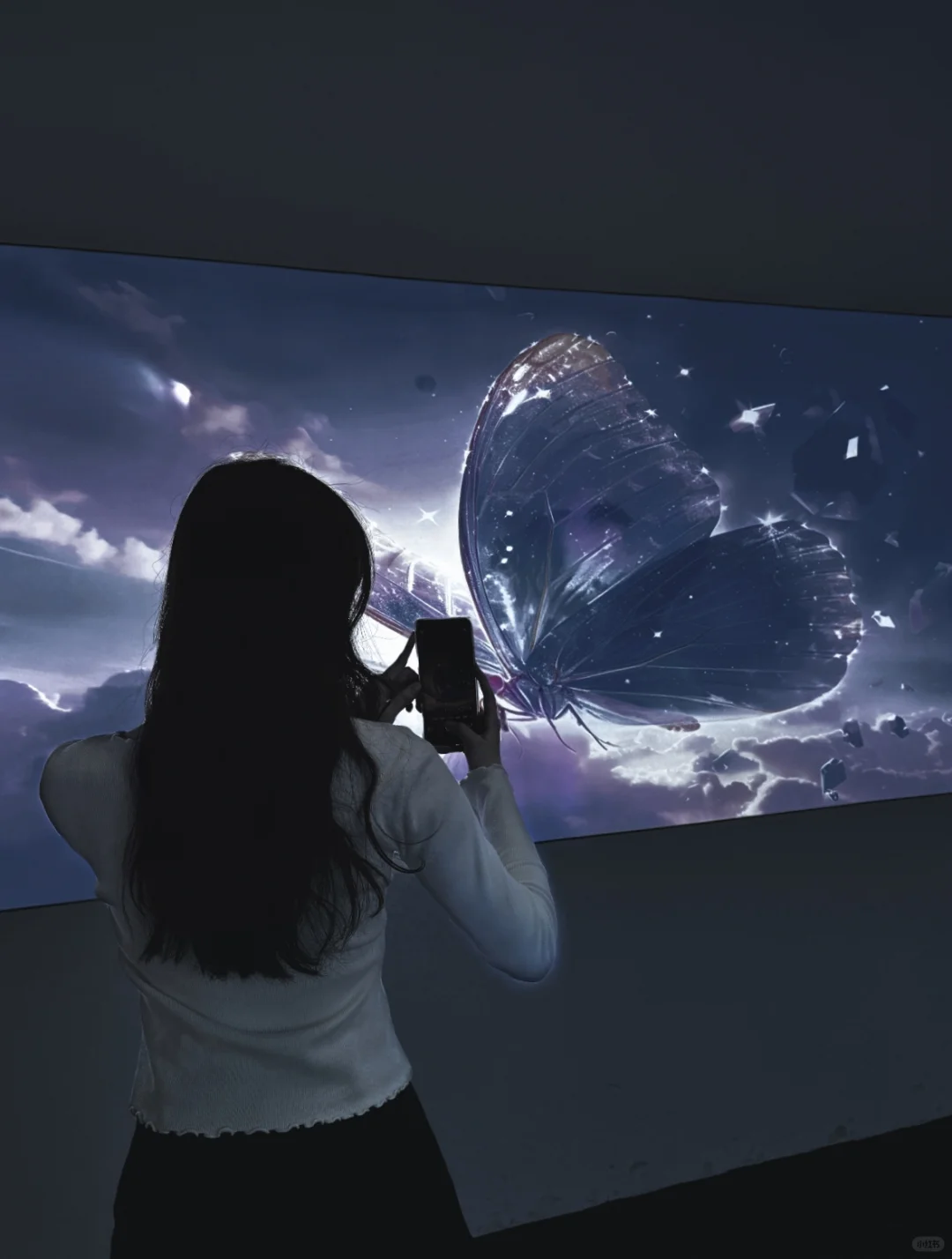 “自由与灵魂，短暂且浪漫”?⋆⁺₊