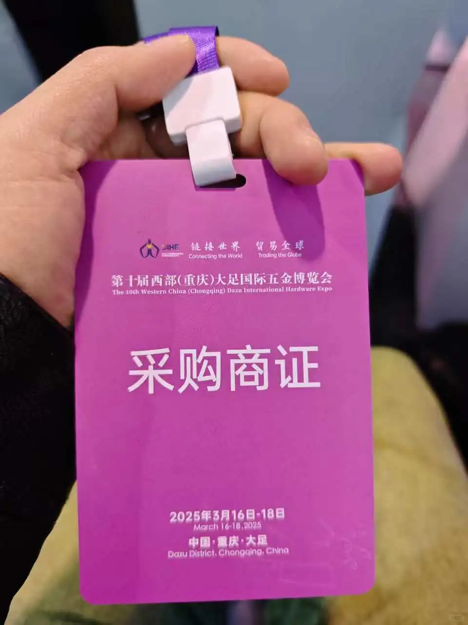 大足国际博览会协助体验