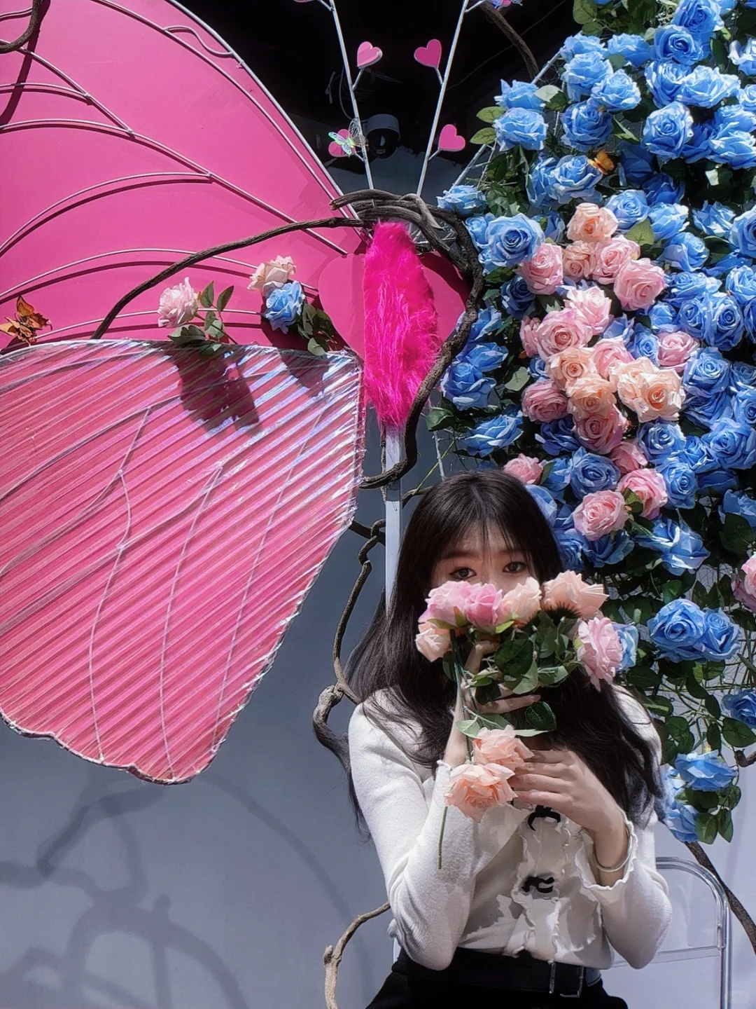 “自由与灵魂，短暂且浪漫”?⋆⁺₊