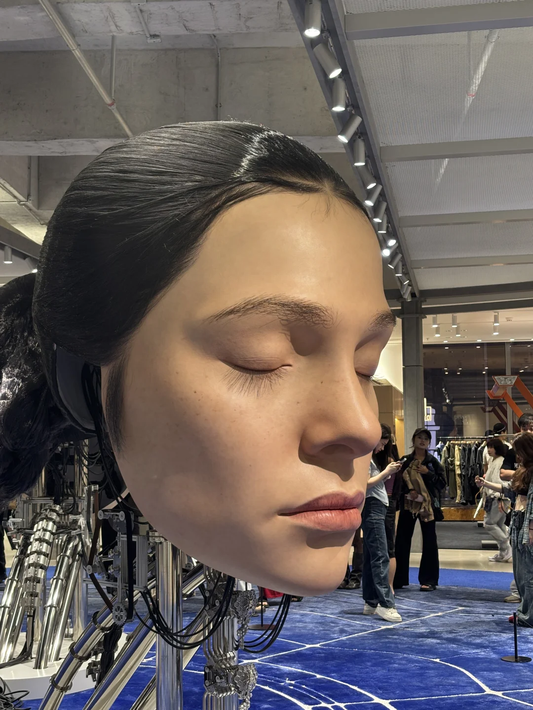 艺术·展览