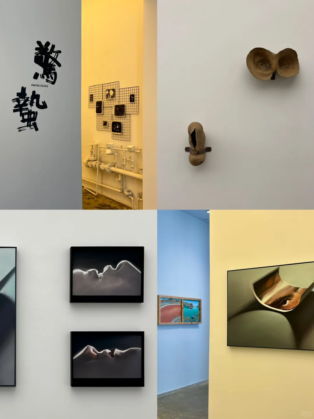 北京！798三月免费新展（合集）