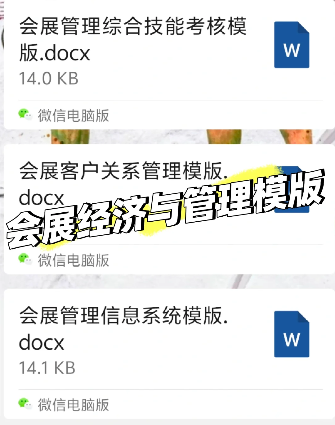 会展经济与管理 实践报告