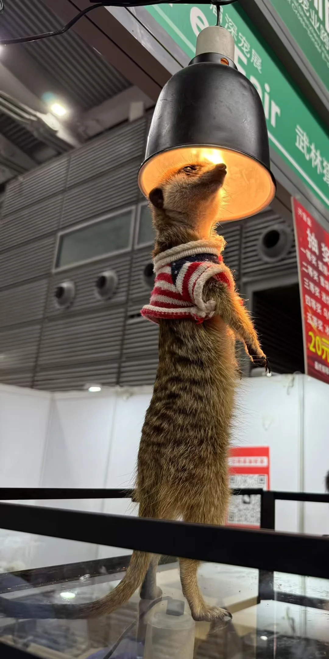艺术·展览