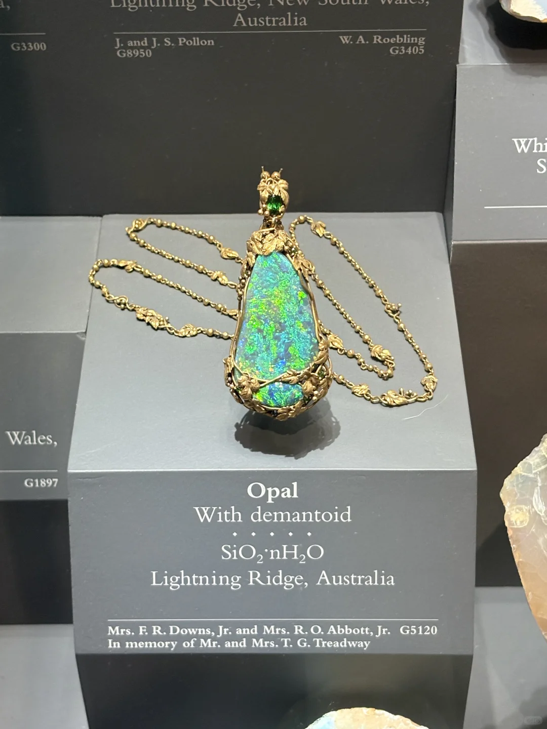 终于看到了海洋之心！