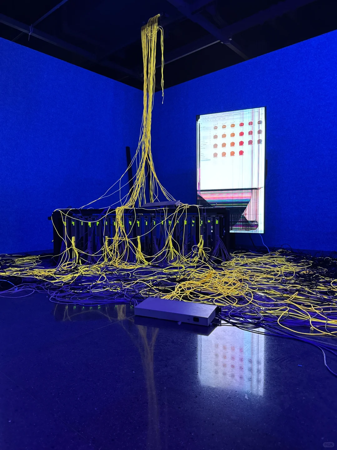 深圳新展|“我掉进梦的漩涡里”?