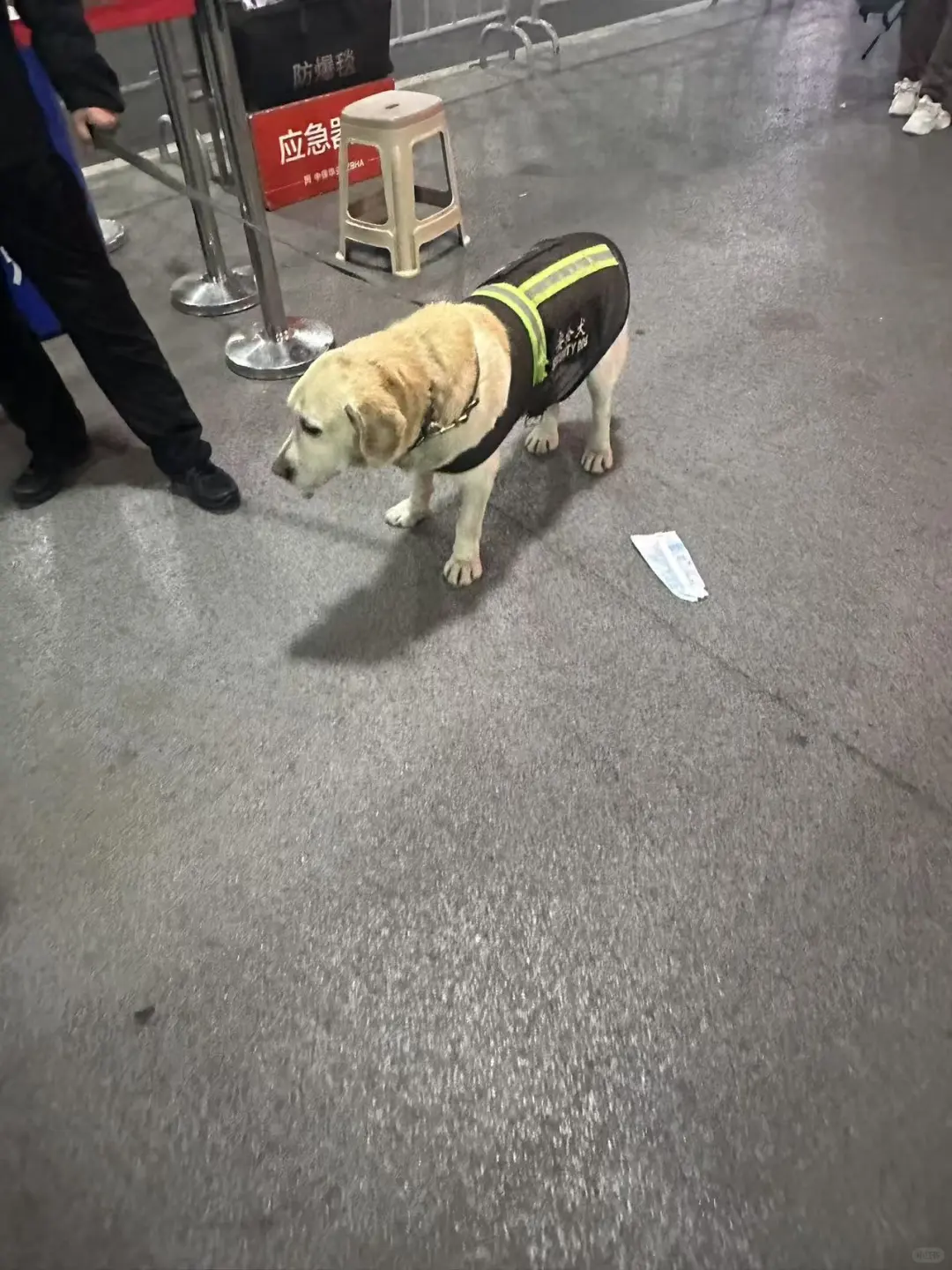 纺织展会兼职