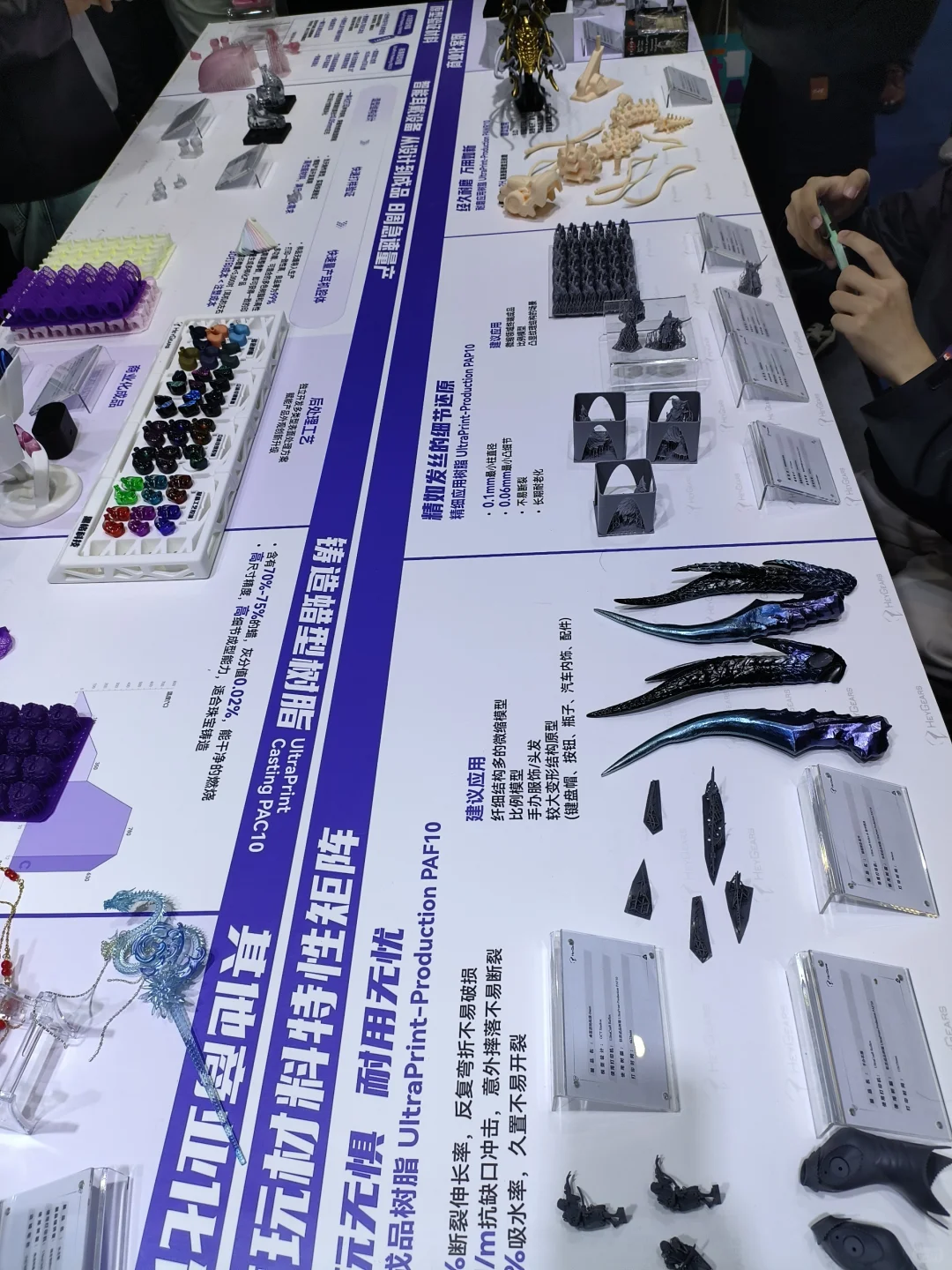 我的会展之旅
