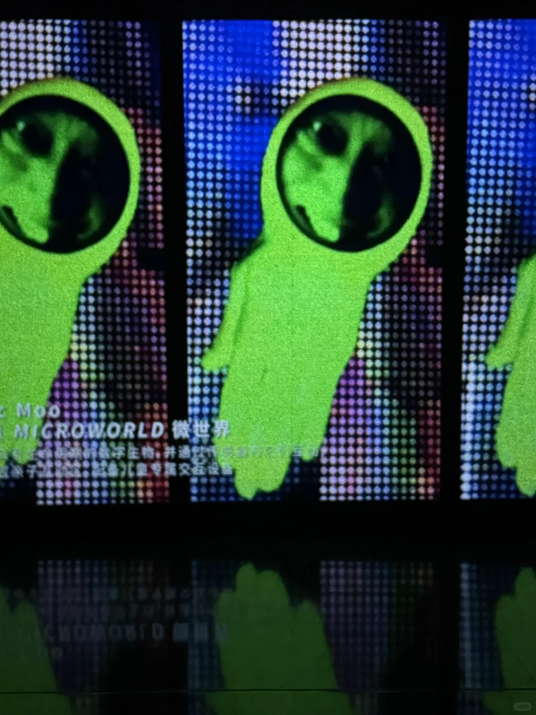 深圳新展|“我掉进梦的漩涡里”?