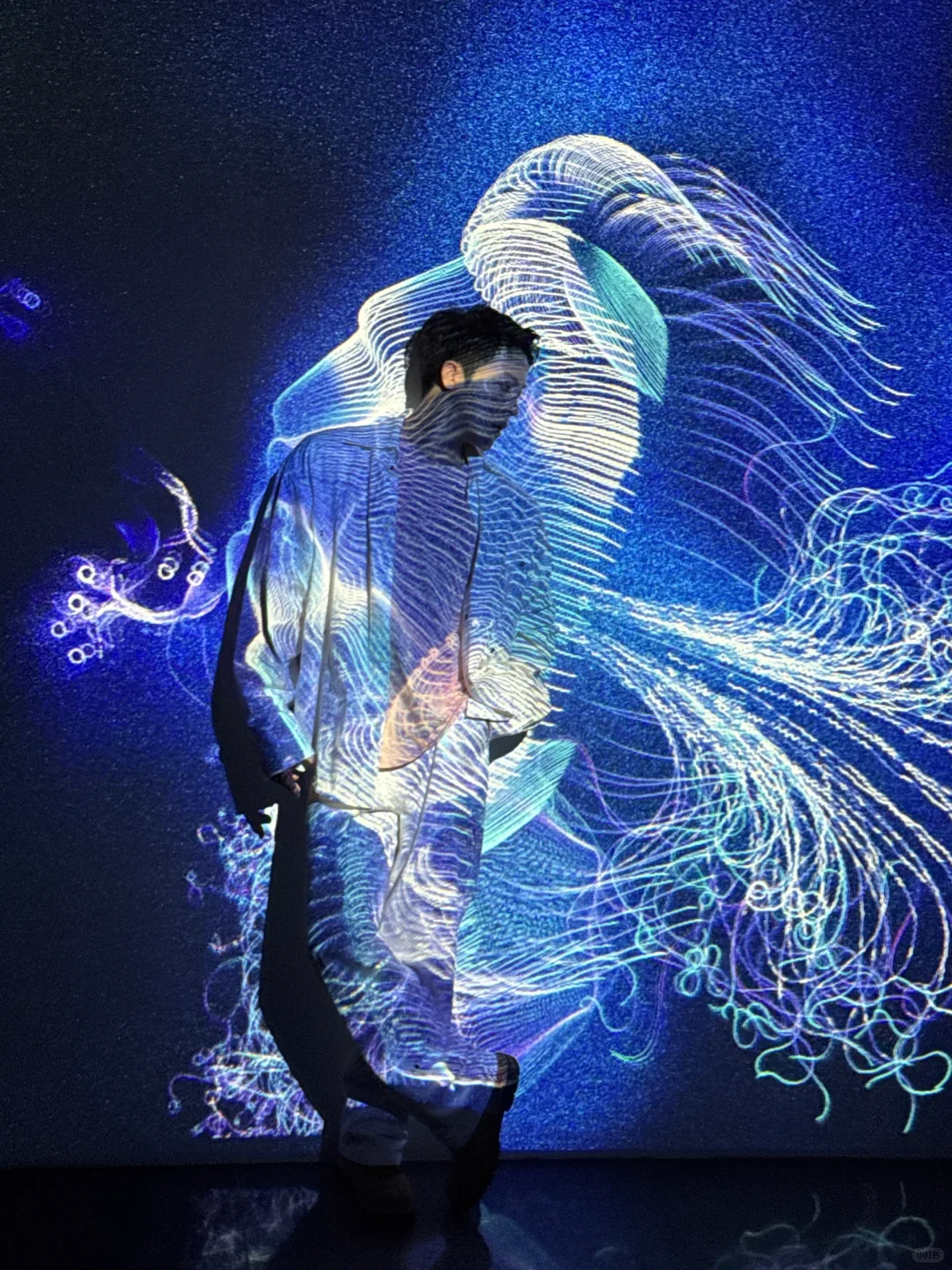 深圳新展|“我掉进梦的漩涡里”?