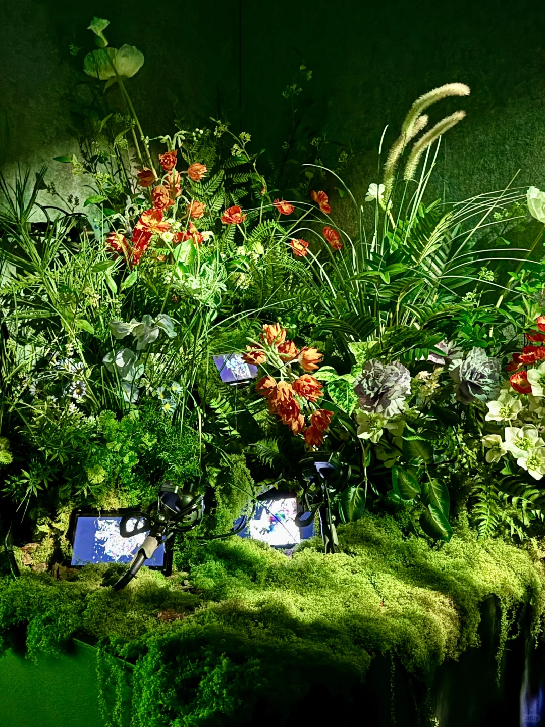 深圳新展|“我掉进梦的漩涡里”?