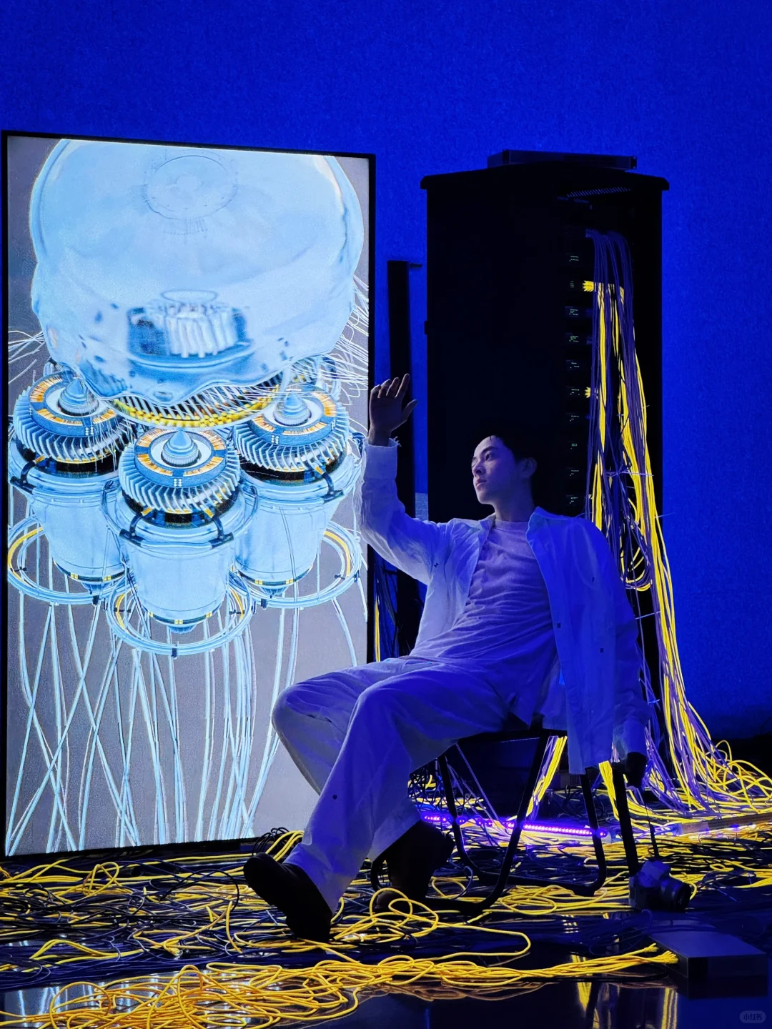 深圳新展|“我掉进梦的漩涡里”?