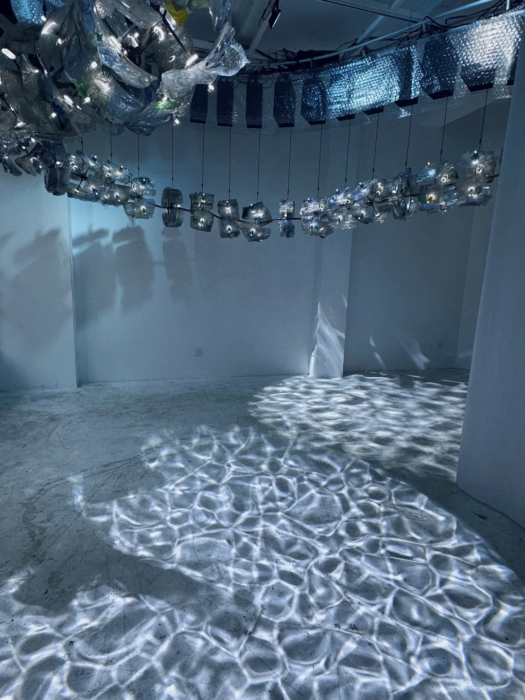 梦核展览｜浮游生物Plankton?