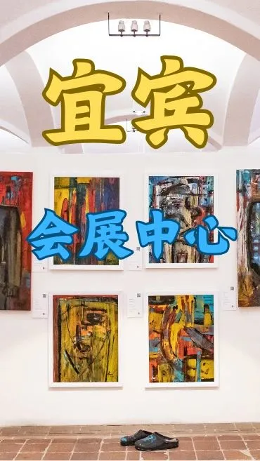宜宾会展中心｜活动执行小能手✨
