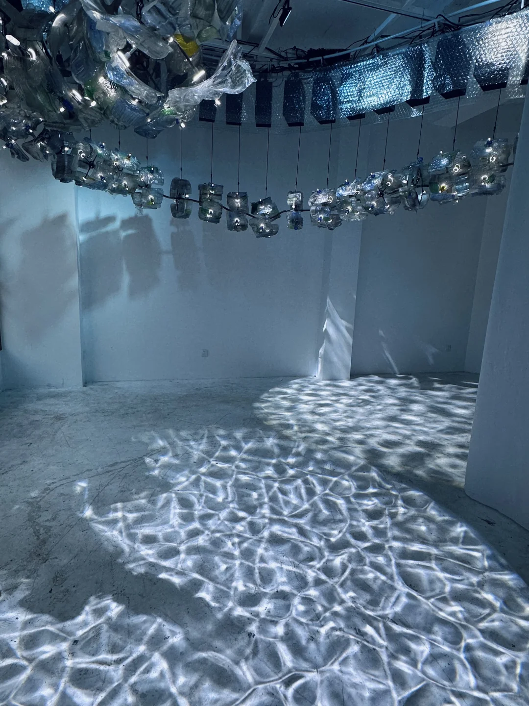 梦核展览｜浮游生物Plankton?