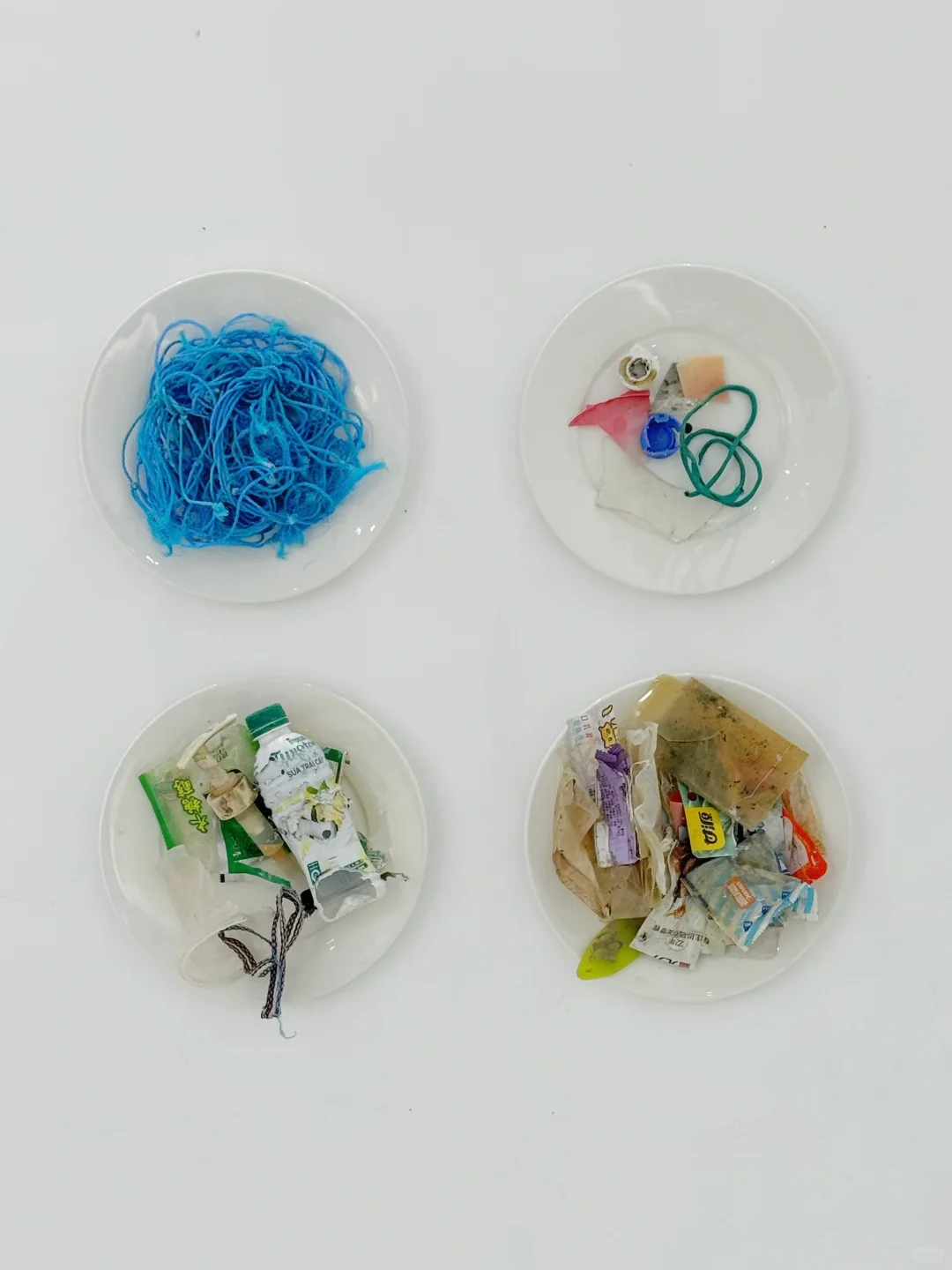 北京?新展｜“海洋”??