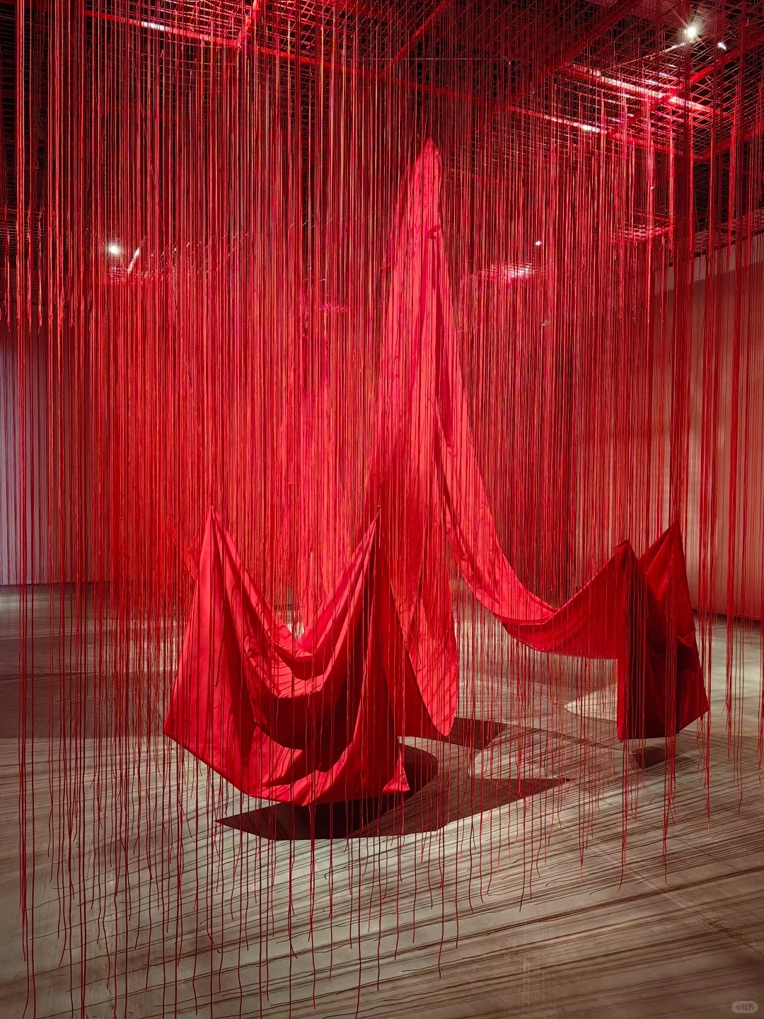 免费赠?|一票难求的“盐田千春”重启⏯