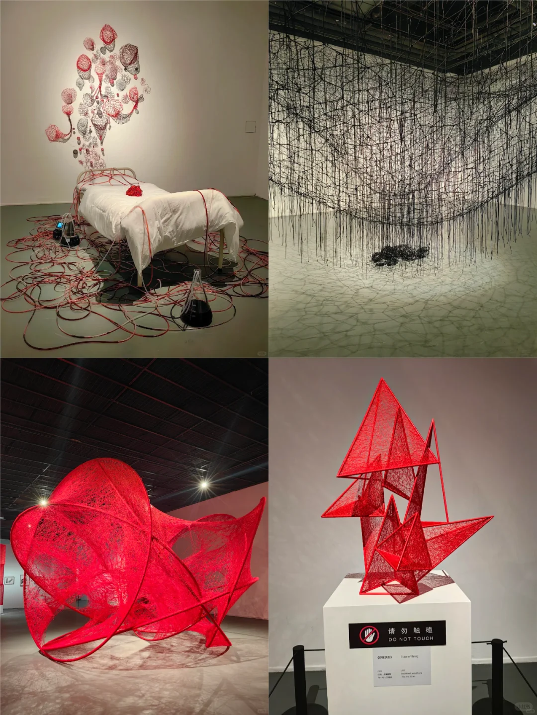 免费赠?|一票难求的“盐田千春”重启⏯