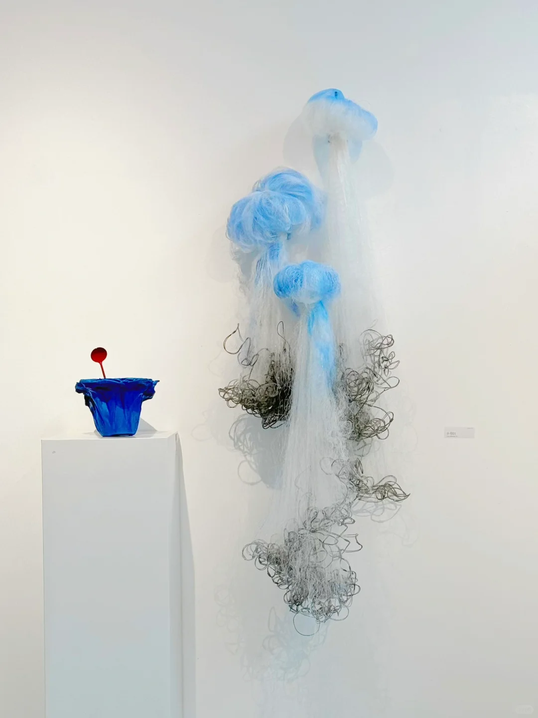 北京?新展｜“海洋”??