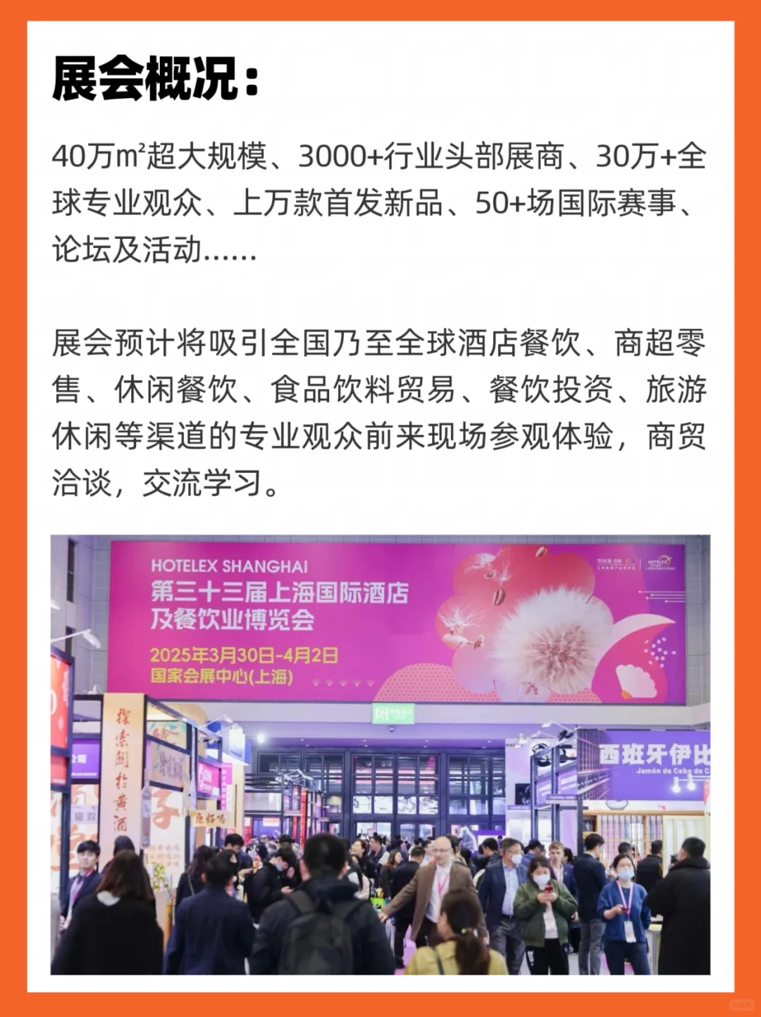 30万人去上海？只为这个展