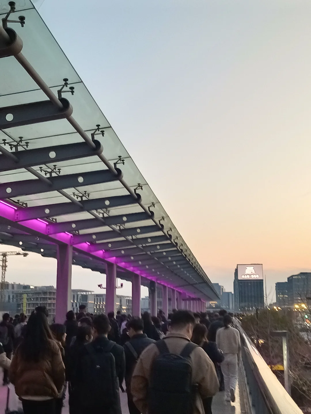 CAC展会翻译