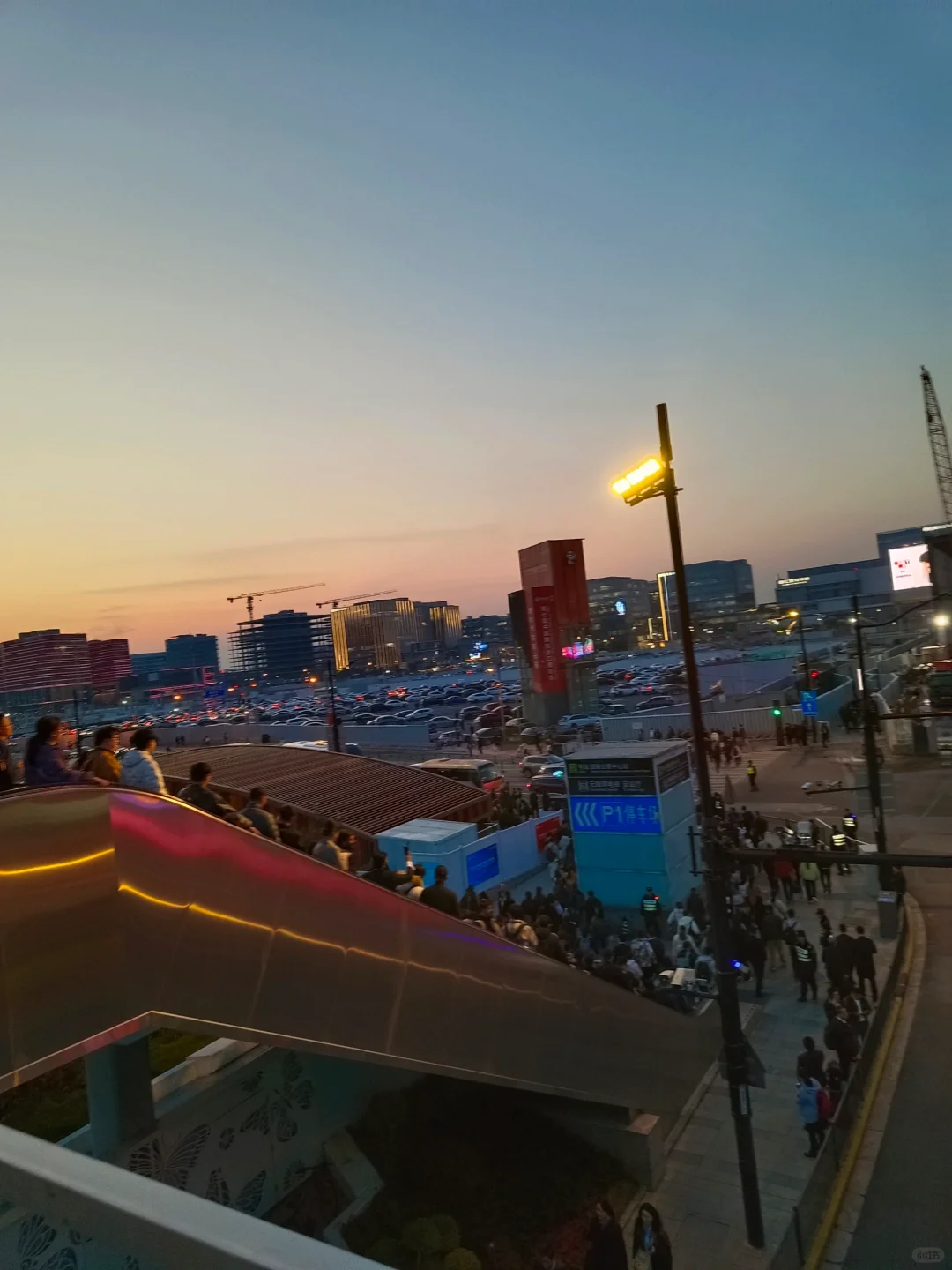 CAC展会翻译