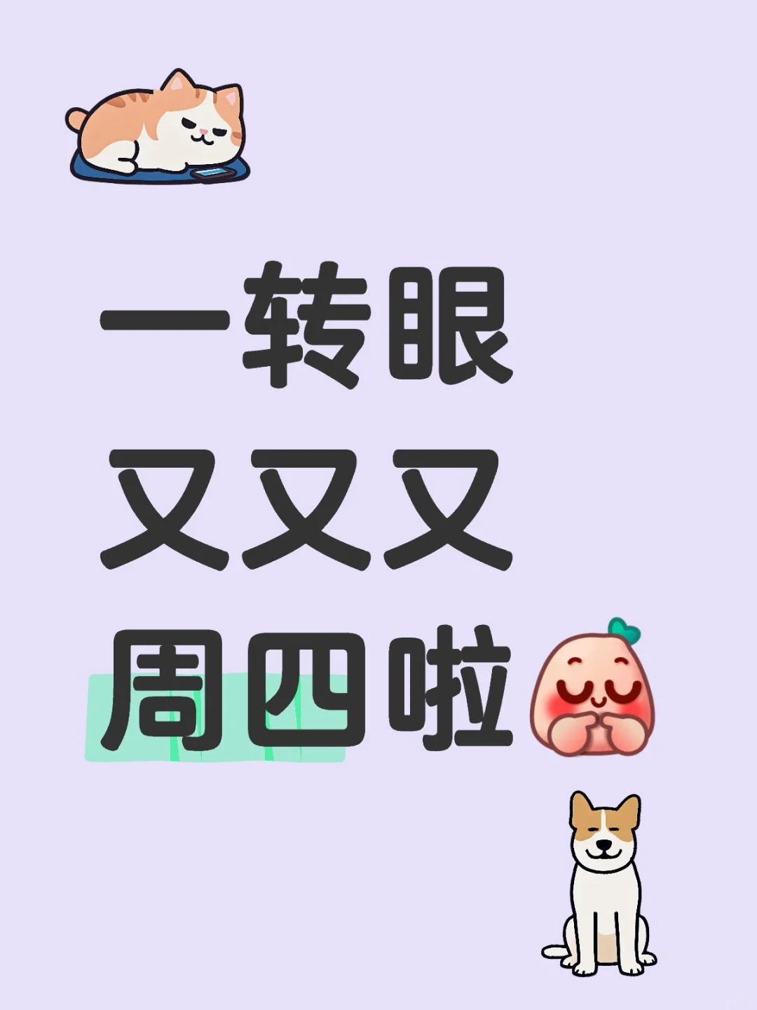 会展人