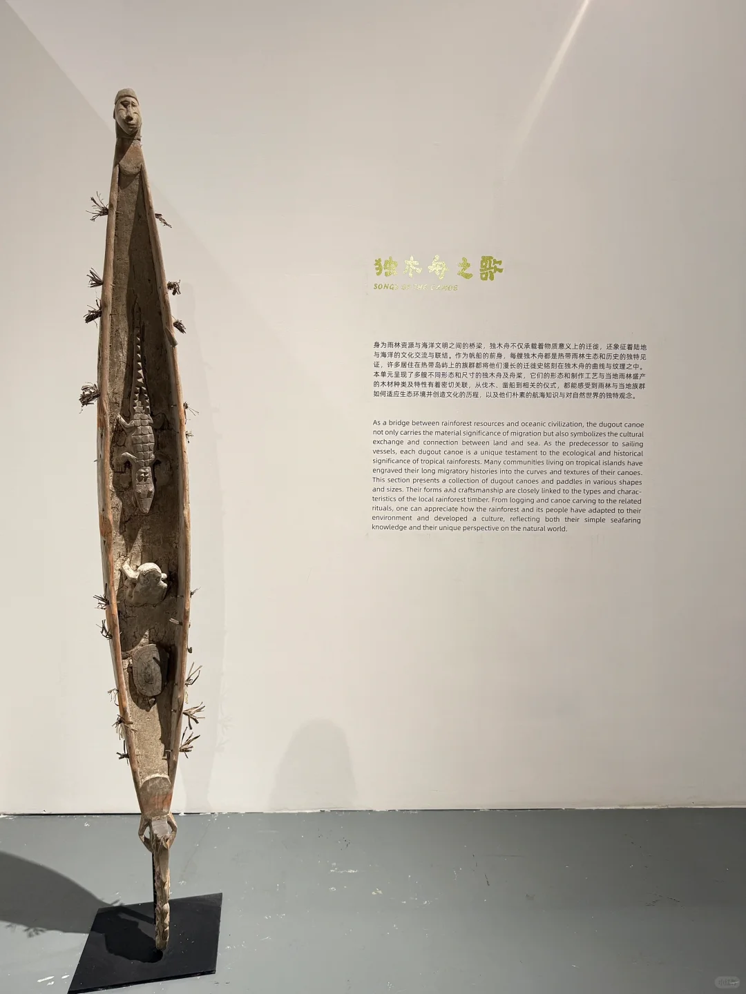 深圳看展!仿佛穿越雨林探秘?