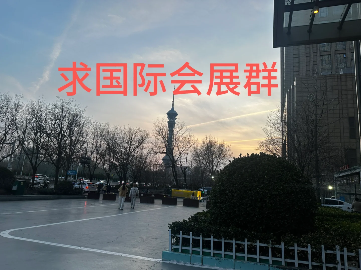 求境外会展群