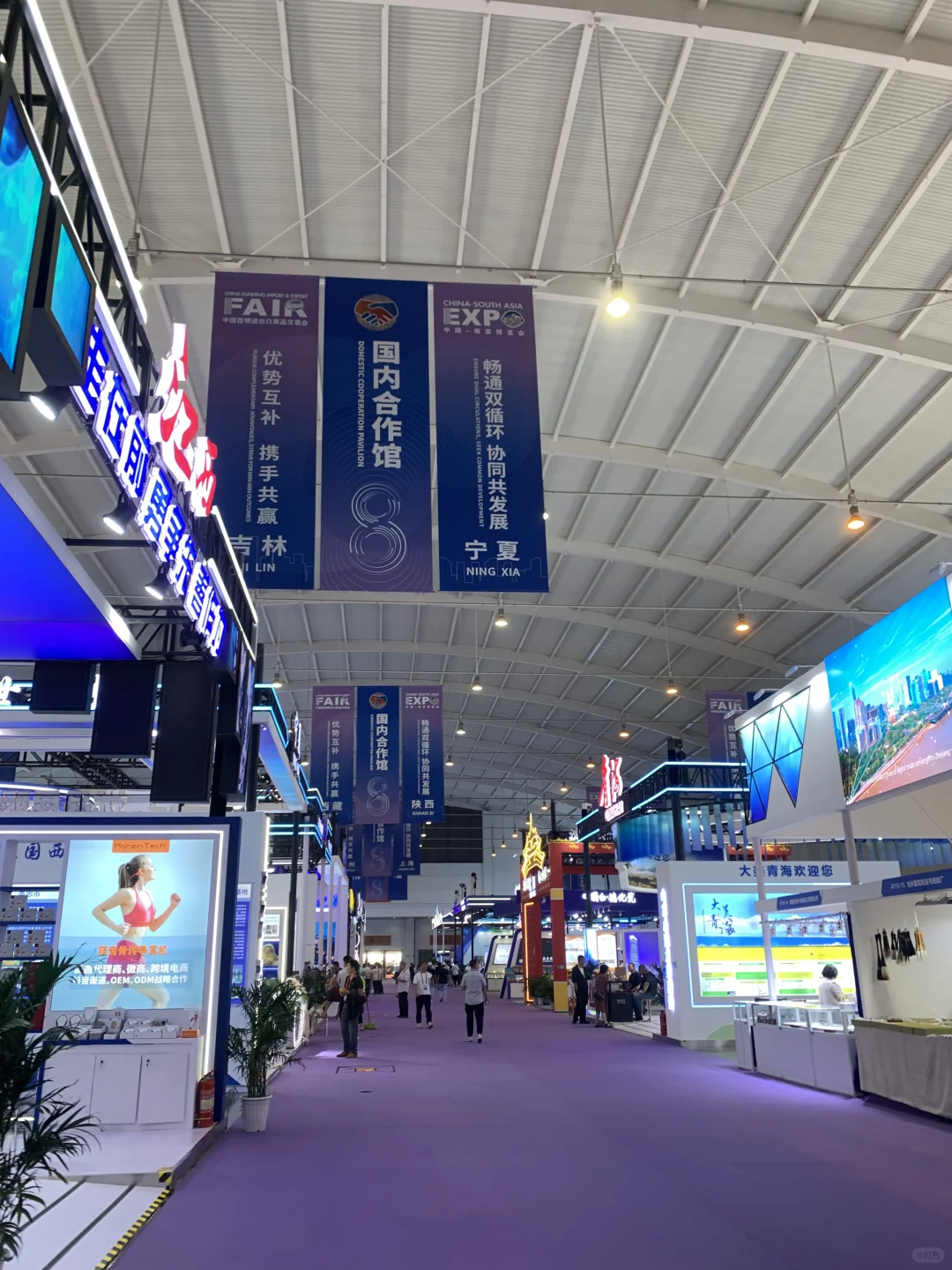 第一次来参加南博会，听劝?