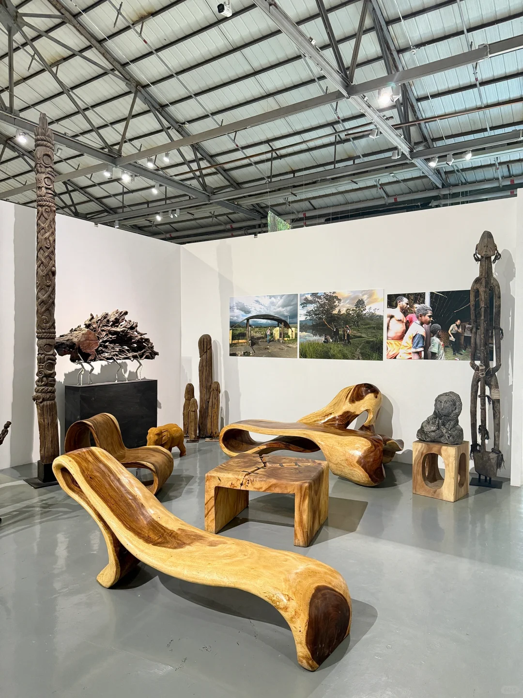 深圳看展!仿佛穿越雨林探秘?