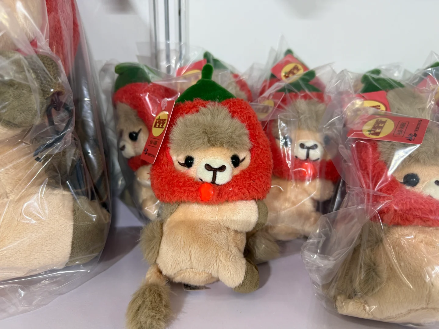 礼品展看一看