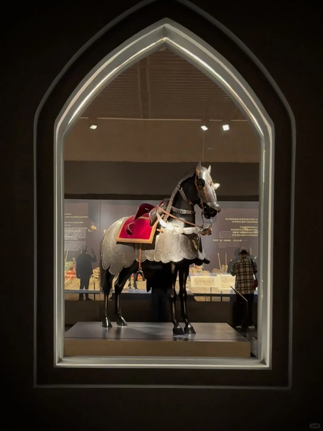 我得个老天耐啊！！！南博这个新展太精彩了！！