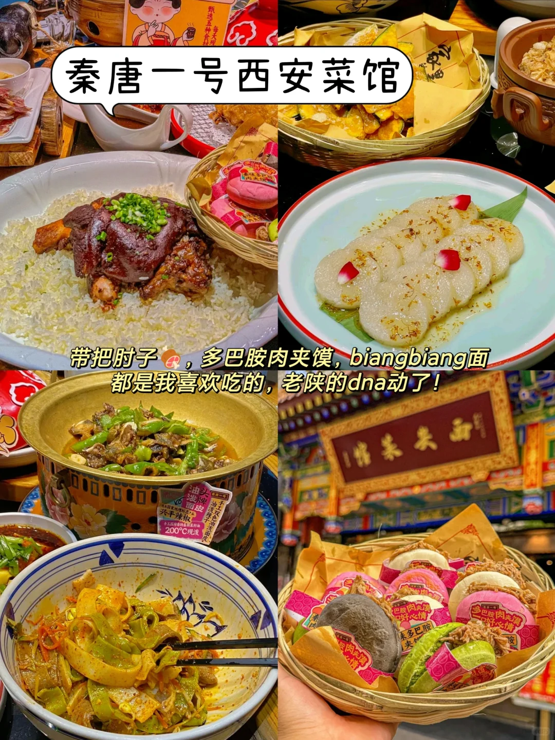 3月西安免费展览！西安人快去！