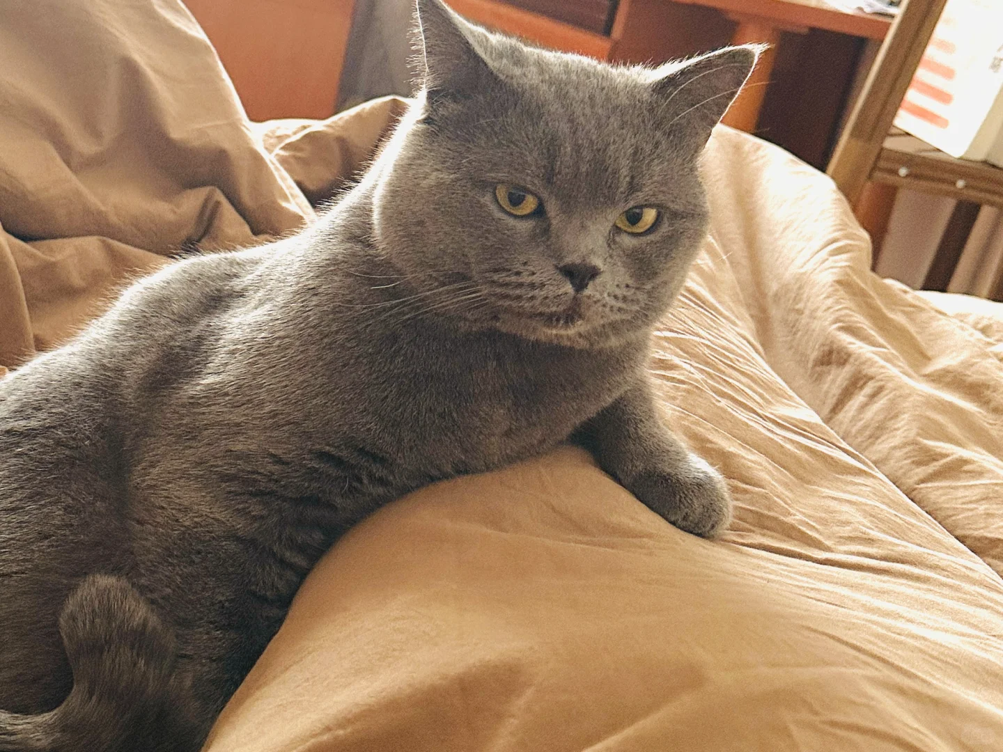 蓝儿子镇场｜3.30-4.3日去游学