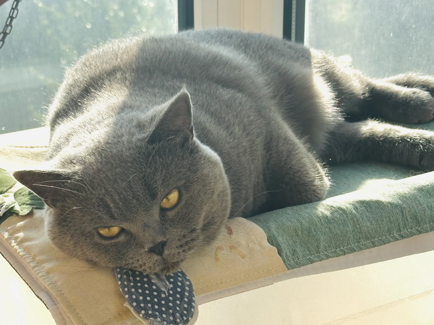 蓝儿子镇场｜3.30-4.3日去游学