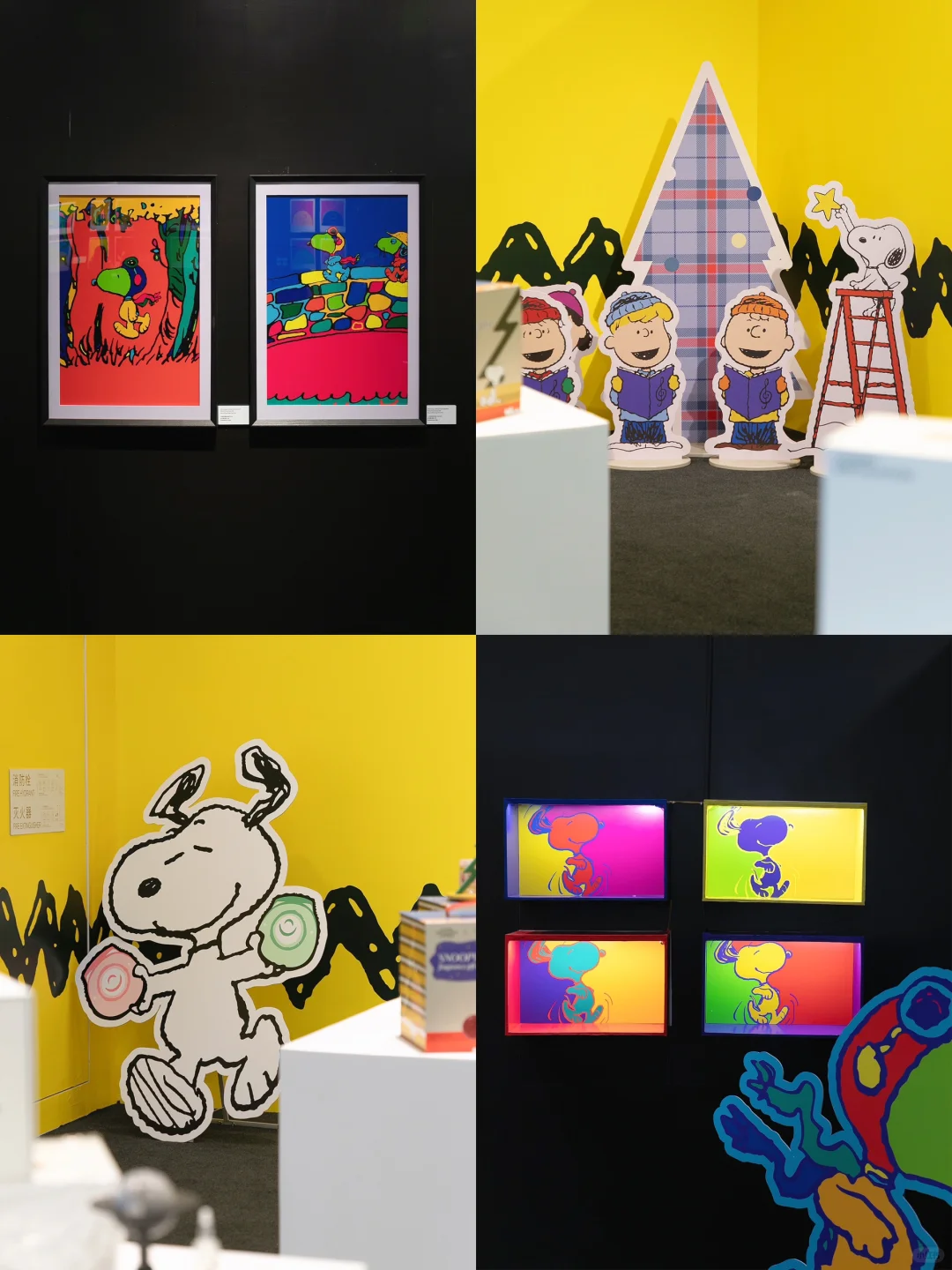 ✨深圳新展丨深圳看展人狂喜！一站打卡3个展～