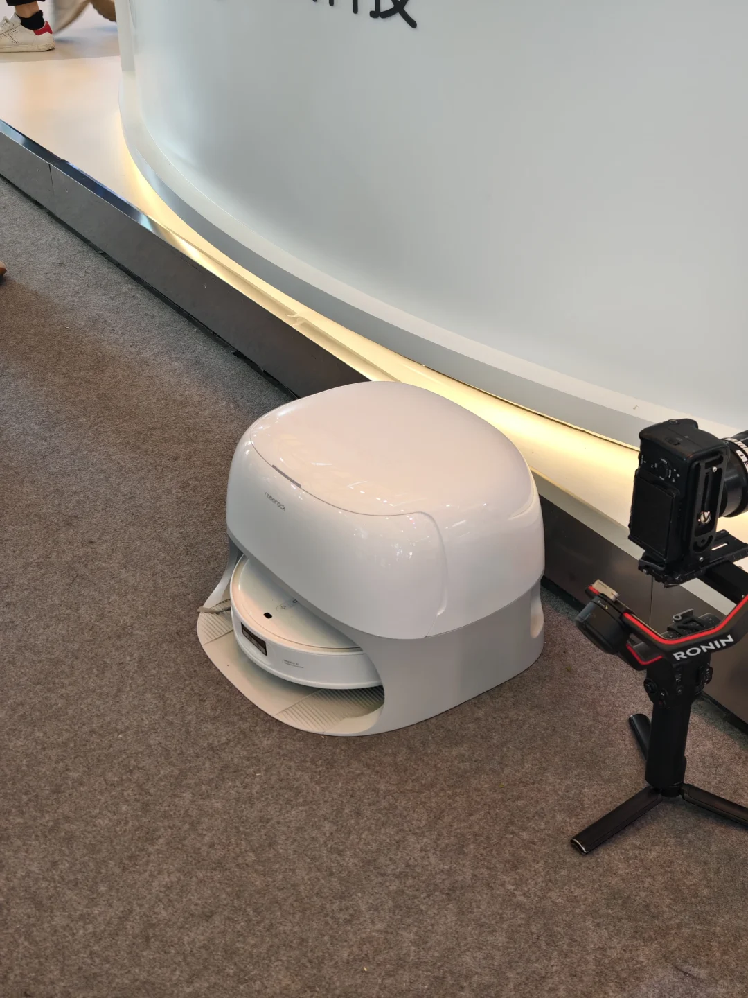 看展后对?有了幻想,想有自己的家人