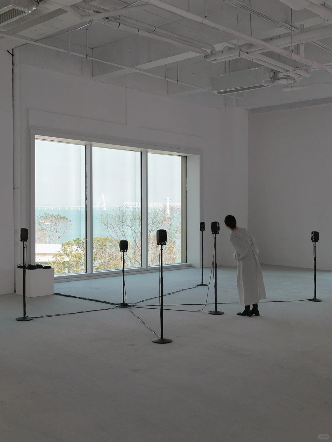 ✨深圳新展丨深圳看展人狂喜！一站打卡3个展～