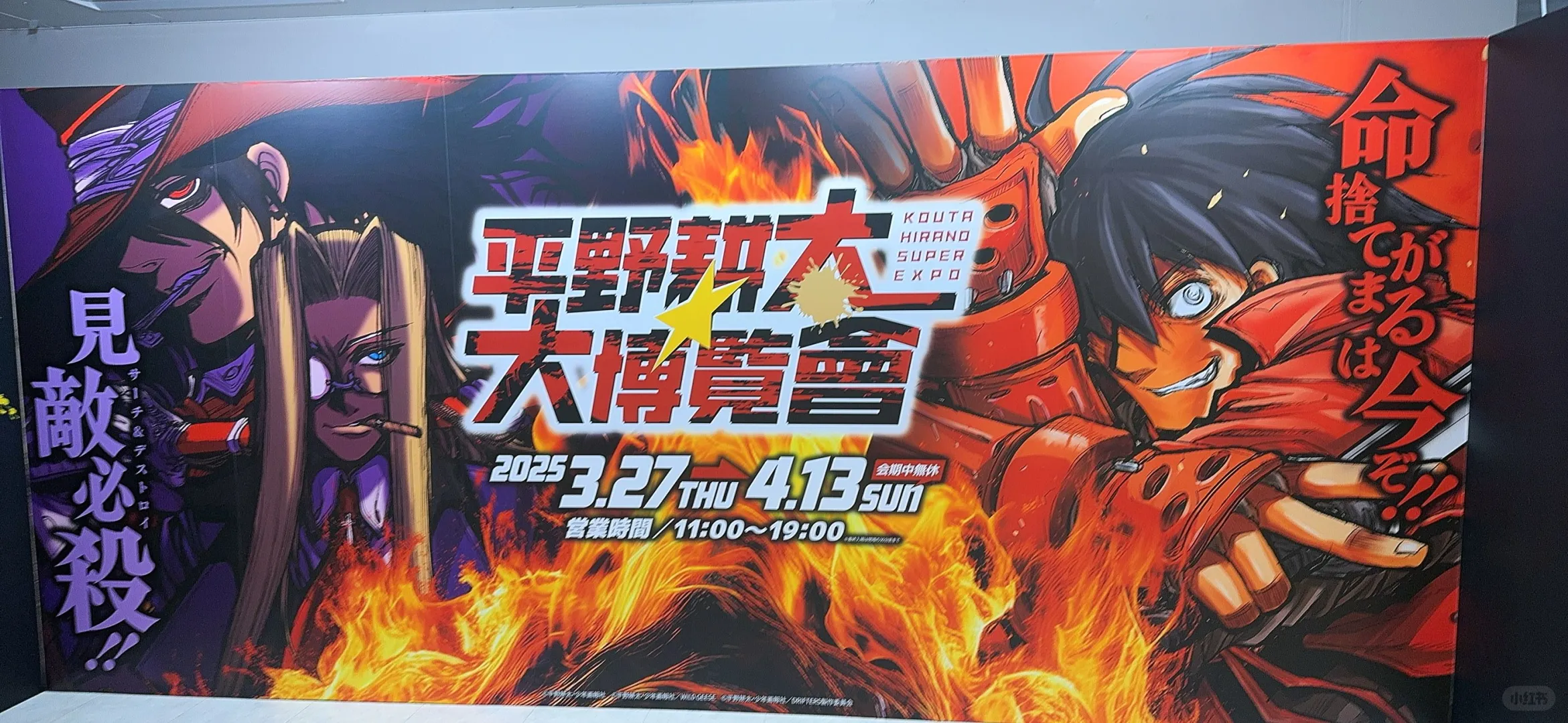 平野耕太大博览会 第一天第一场 完