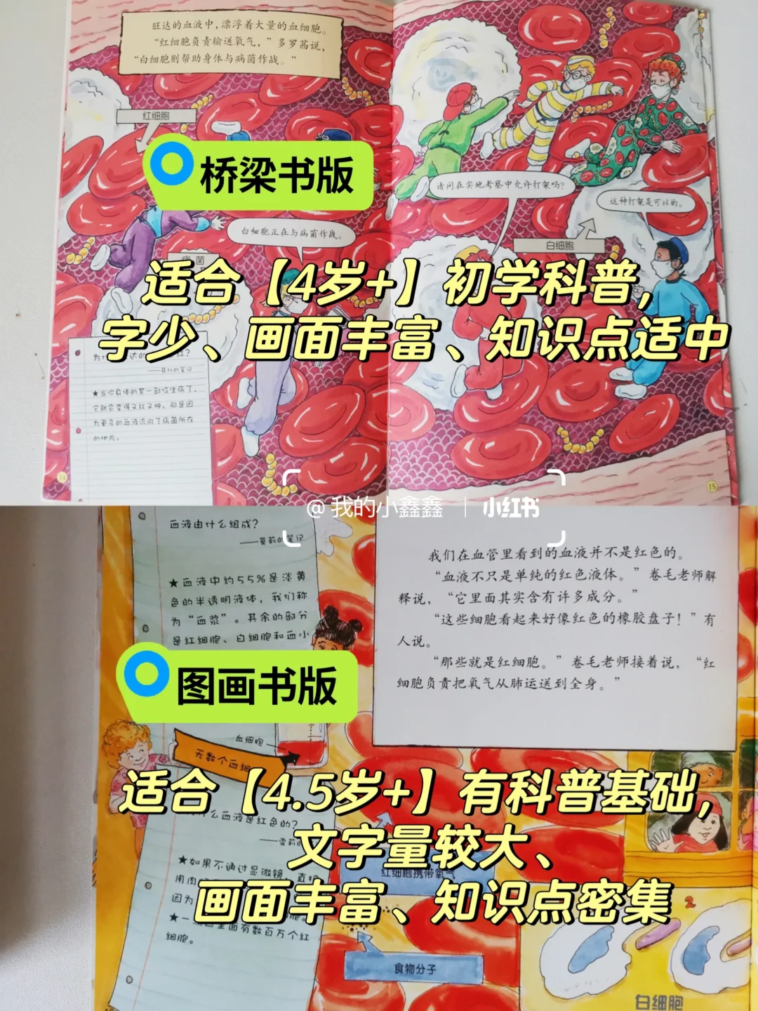 神奇校车5个版本区别和内容｜4-6岁
