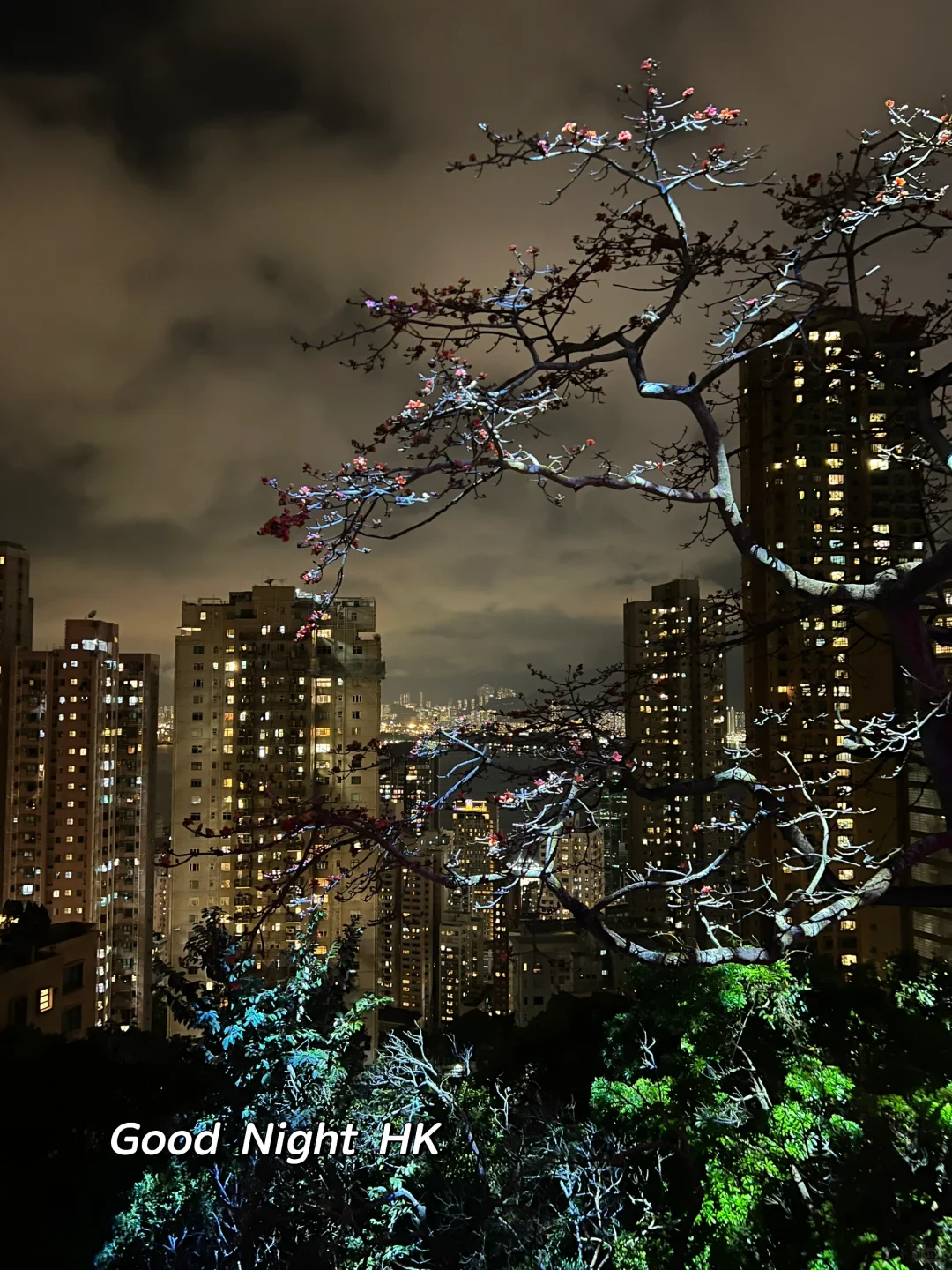 香港plog｜Art Basel vibe ?
